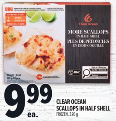CLEAR OCEAN SCALLOPS IN HALF SHELL from Metro