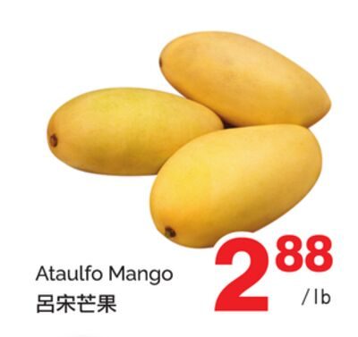 Ataulfo Mango from T&T Supermarket