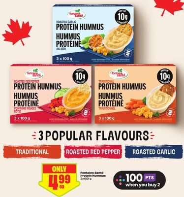 Fontaine Santé Protein Hummus from FreshCo