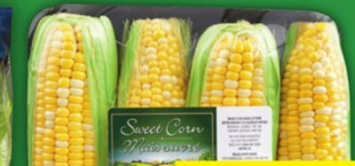 ROMAINE HEARTS OR SWEET CORN from Food Basics