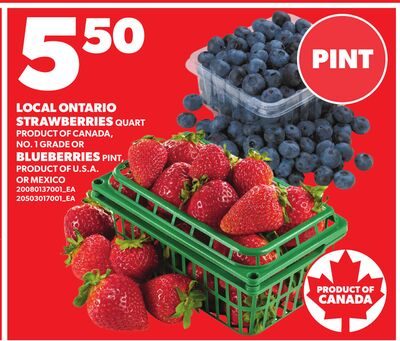 LOCAL ONTARIO STRAWBERRIES QUART OR BLUEBERRIES PINT from Loblaws