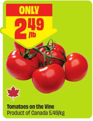 Tomatoes on the Vine Product of Canada from FreshCo