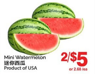 Mini Watermelon from T&T Supermarket