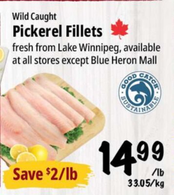 Wild Caught Pickerel Fillets from Farm Boy