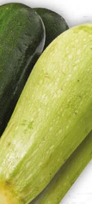 GREEN, GRAY OR YELLOW ZUCCHINI from Food Basics