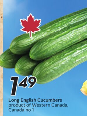 Long English Cucumbers from Safeway