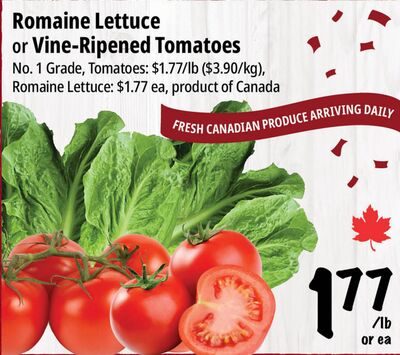 Romaine Lettuce or Vine-Ripened Tomatoes from Farm Boy
