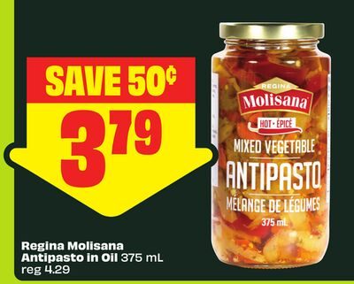 Regina Molisana Antipasto in Oil from FreshCo