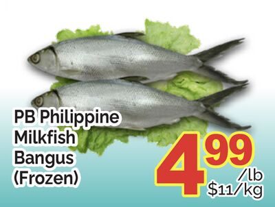 PB PHILIPPINE MILKFISH BANGUS (FROZEN) from T&T Supermarket
