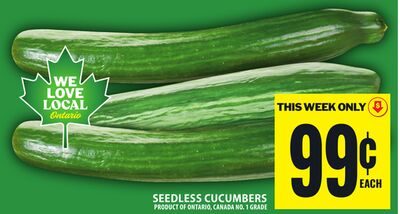 SEEDLESS CUCUMBERS from Food Basics