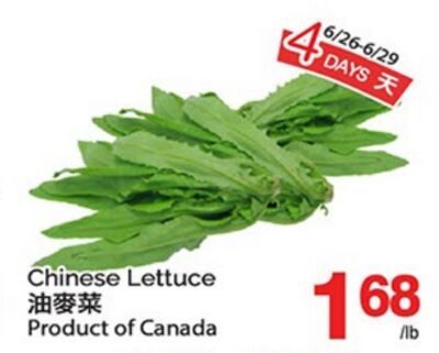 CHINESE LETTUCE from T&T Supermarket