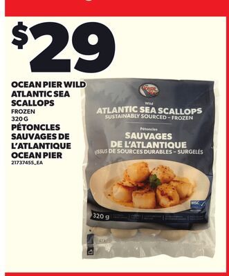 OCEAN PIER WILD ATLANTIC SEA SCALLOPS from Your Independent Grocer