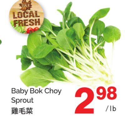 BABY BOK CHOY SPROUT from T&T Supermarket