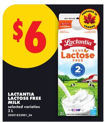 LACTANTIA LACTOSE FREE MILK from No Frills