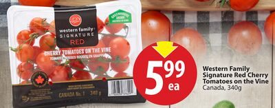 Western Family Signature Red Cherry Tomatoes on the Vine from Save-On-Foods