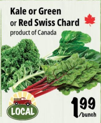 Kale or Green or Red Swiss Chard Canada from Farm Boy