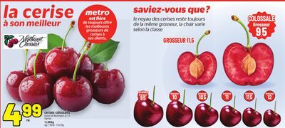 CERISES COLOSSALES | CHERRIES from Metro