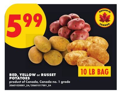 RED, YELLOW or RUSSET POTATOES from No Frills