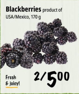 Blackberries from Farm Boy