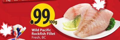 Wild Pacific Rockfish Fillet from Save-On-Foods