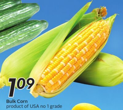 Bulk Corn from Safeway