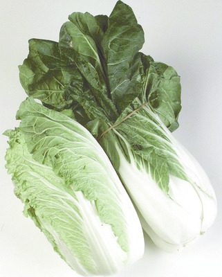 Bok Choy or Napa Cabbage from Thrifty Foods