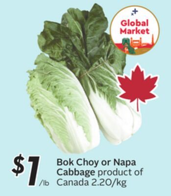 Bok Choy or Napa Cabbage from Safeway