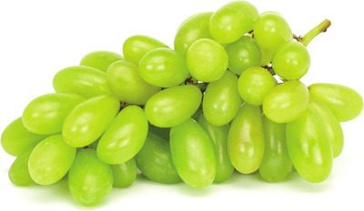 Green Seedless Grapes from AG Foods