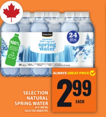 SELECTION NATURAL SPRING WATER from Food Basics