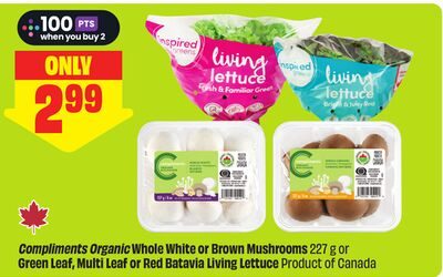 Compliments Organic Whole White or Brown Mushrooms or Green Leaf, Multi Leaf or Red Batavia Living Lettuce Product of Canada from FreshCo