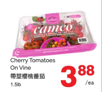 CHERRY TOMATOES ON VINE, 1. from T&T Supermarket