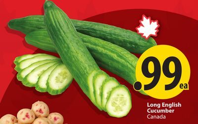 Long English Cucumber from Save-On-Foods