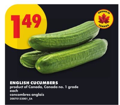 ENGLISH CUCUMBERS from No Frills