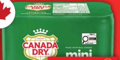 COCA-COLA OR CANADA DRY GINGER ALE from Food Basics