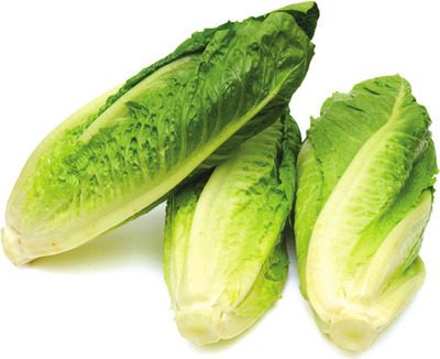 Romaine Lettuce from AG Foods