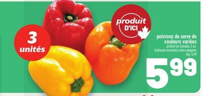 POIVRONS DE SERRE DE COULEURS VARIÉES | HOT-HOUSE ASSORTED COLORS PEPPERS from Metro