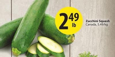 Zucchini Squash from Save-On-Foods