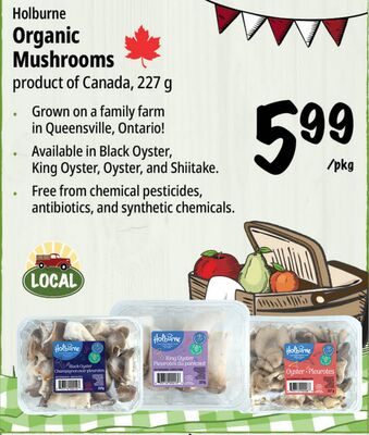 Holburne Organic Mushrooms from Farm Boy