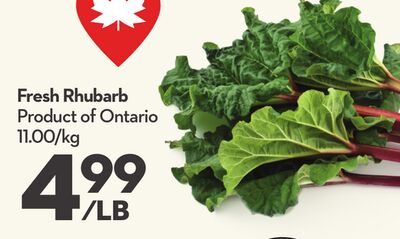 Fresh Rhubarb from Longo's