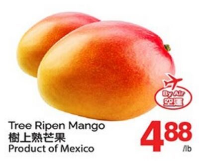 Tree Ripen Mango from T&T Supermarket