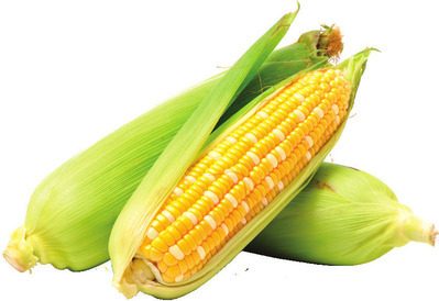 Corn on the Cob from Thrifty Foods