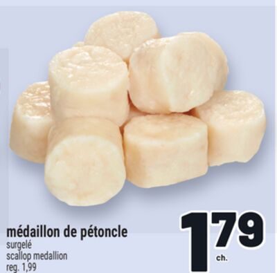 MÉDAILLON DE PÉTONCLE | SCALLOP MEDALLION from Metro