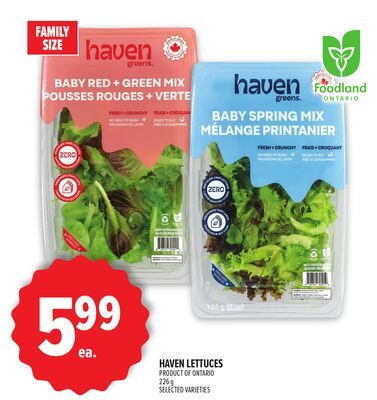 HAVEN LETTUCES from Metro