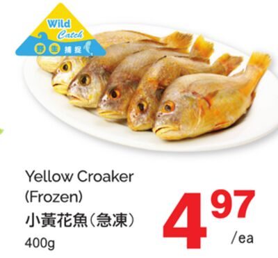 YELLOW CROAKER (FROZEN) from T&T Supermarket