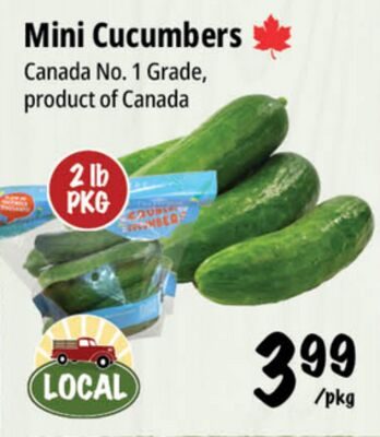 Mini Cucumbers from Farm Boy